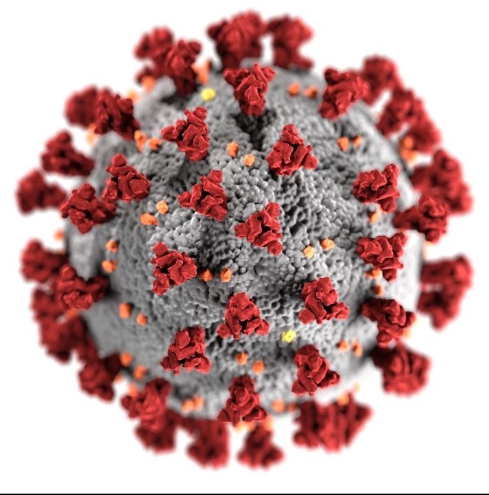Coronavirus